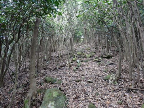 神島神社からの戻り