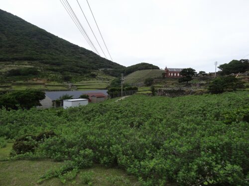 自然学塾村と野首教会