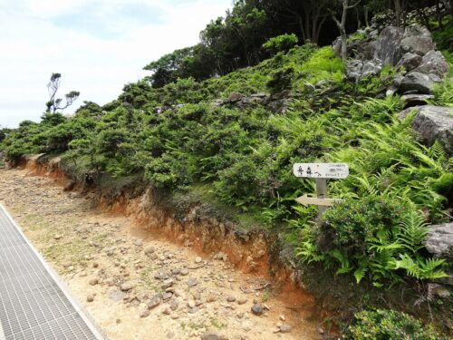 舟森集落跡へ向かう