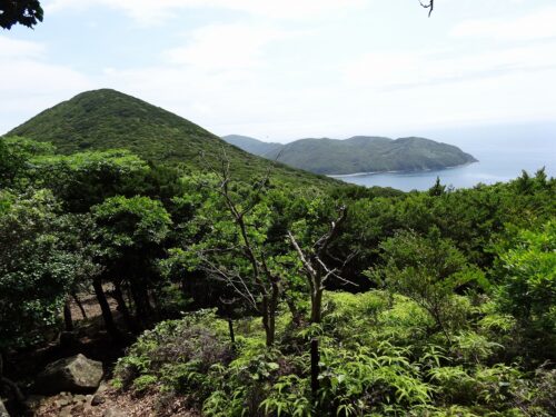 山道歩き