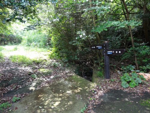 Dsc03270 山道は荒れている