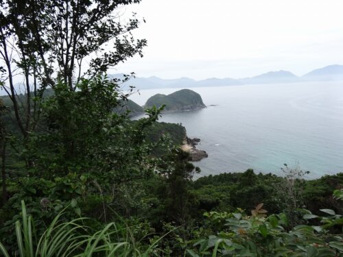 野首鼻