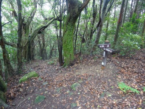 Dsc03424 道しるべ