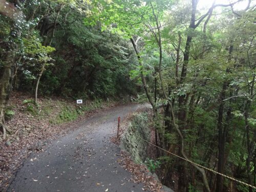 Dsc03431 舗装林道を下る