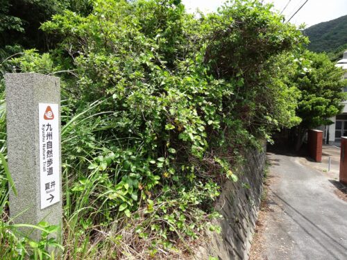廃校前の小道を夏井へ