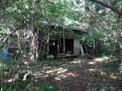 Dsc03780 廃家の横から山道へ