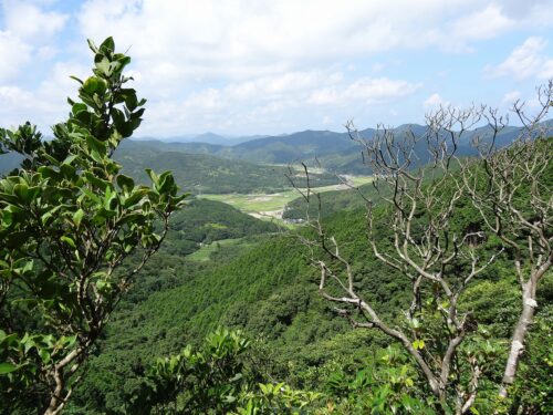 Dsc03814 田園の風景