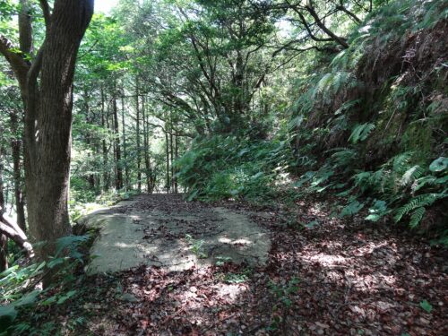Dsc03822 舗装林道へ出る