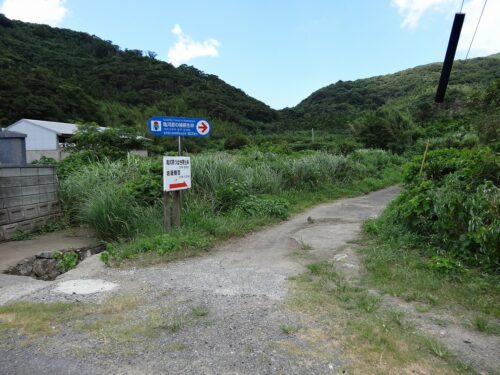 Dsc03862 亀河原の椿林へ