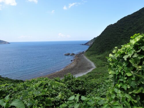 Dsc03873 亀河原の椿林