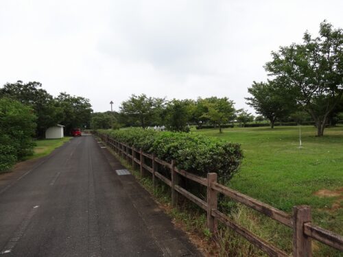 サイクリングロード