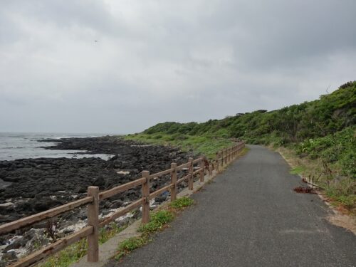 Dsc04157 サイクリングロード