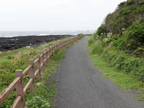 Dsc04158 サイクリングロード