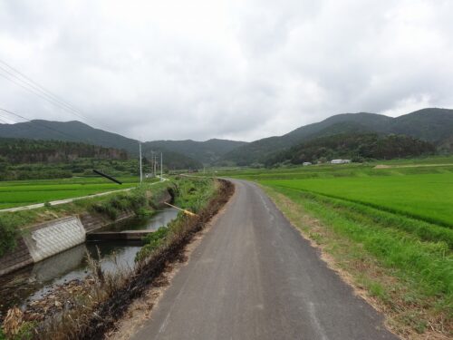 Dsc04183 田園を通り抜け、林道へ