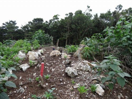 父ヶ岳までは、約2km