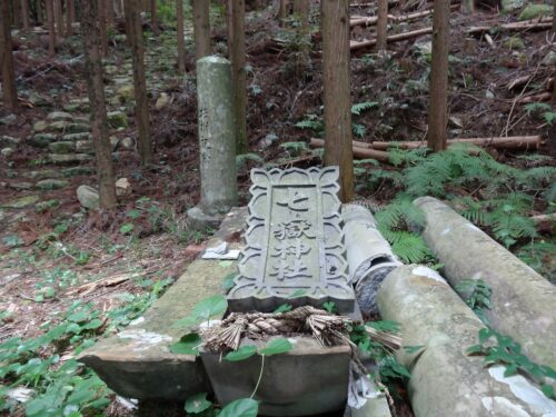 Dsc04275 神社の鳥居は、崩壊してました