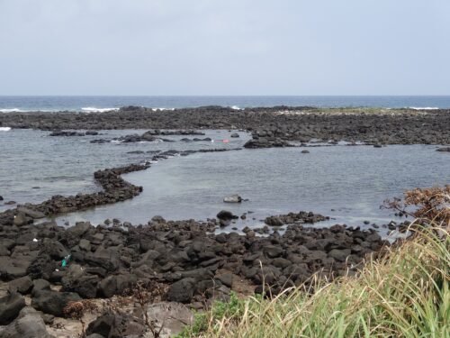 Dsc04382 スケアン