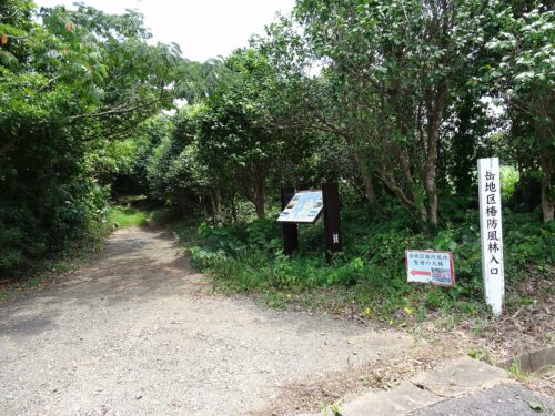 Dsc04412 椿並木の入口