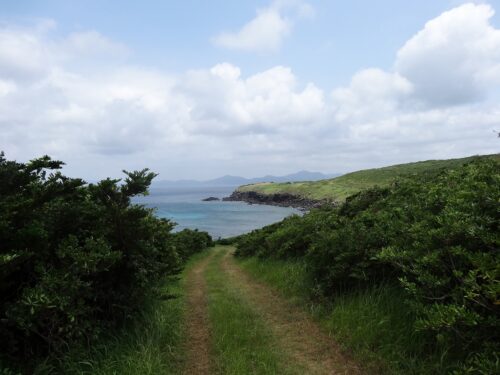 Dsc04436 岬の草原