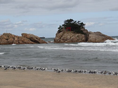 Dsc05370 浦富海岸と向島