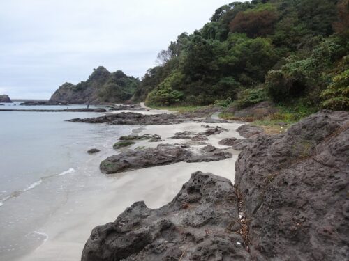 Dsc05470 海岸線を歩き
