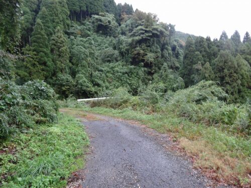 Dsc05592 林道を歩く