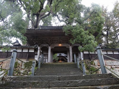 Dsc05648 大乗寺の山門