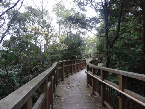 Dsc05802 竹野園地を巡って