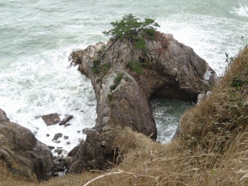 Dsc05827 県道11号(香美久美浜線)海岸線