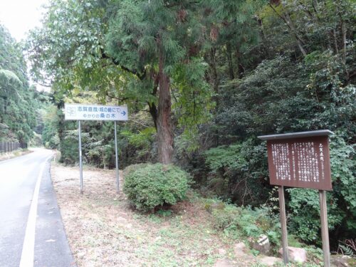 Dsc05881 志賀直哉ゆかり「城崎にて」の桑の木
