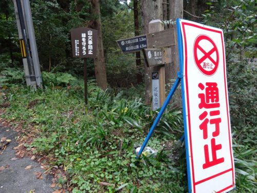 Dsc05882 林道に入る