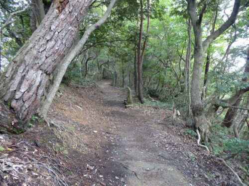 Dsc05909 大師山からの下り