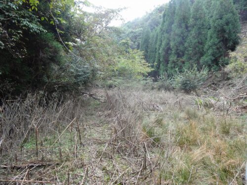 Dsc05945 廃棄物処理場前をとおり林道へ入る