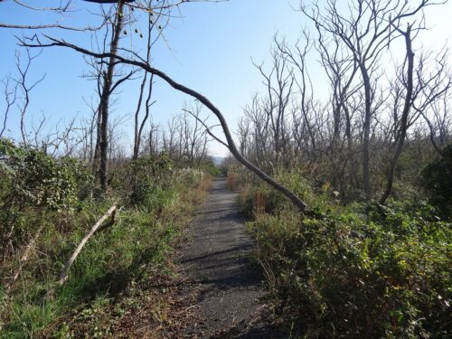 Dsc06038 函石浜遺跡址 付近