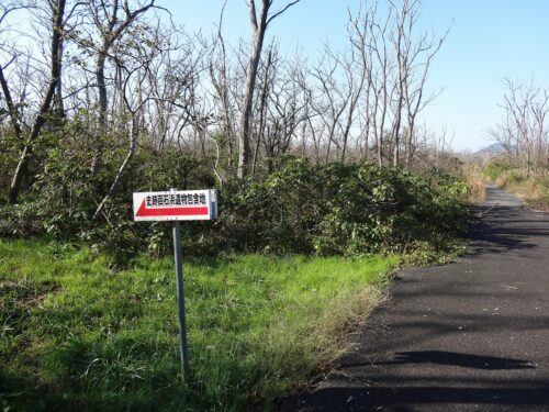 Dsc06040 函石浜遺跡址 付近