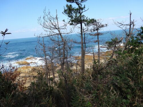 Dsc06079 塩江泊地