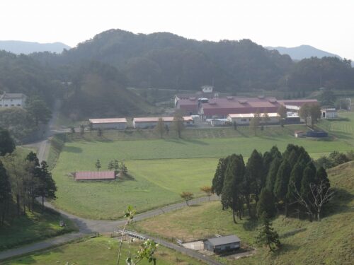碇高原牧場の風景