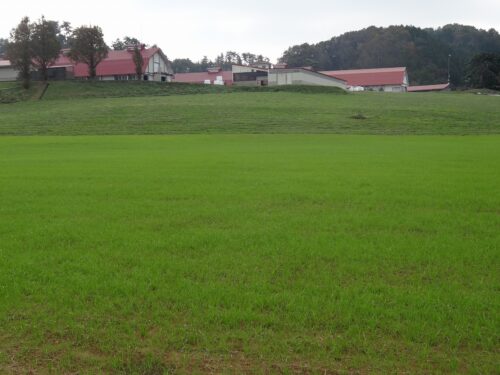 Dsc06344 碇高原牧場
