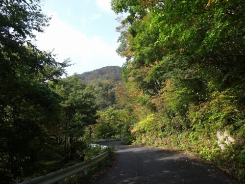 Dsc06407 林道