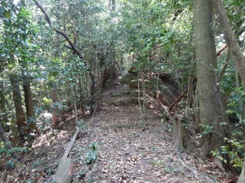 尾根沿いを歩き