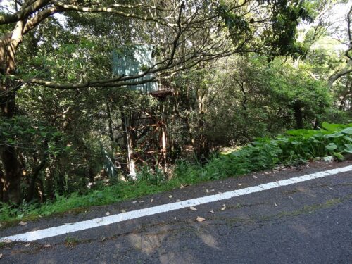 一旦林道に合流