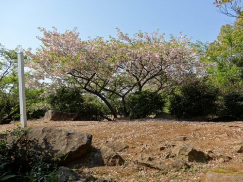 弓張岳(364m)