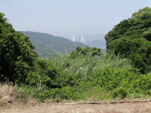 大島大橋
