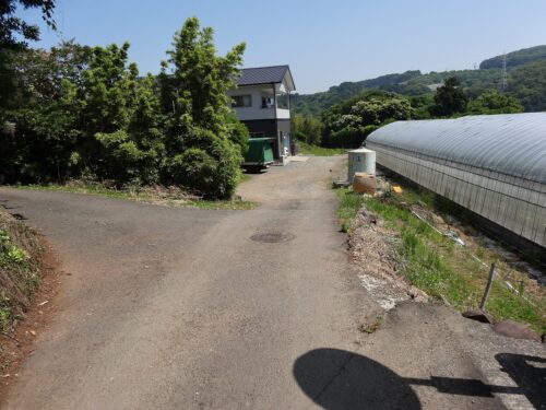民家の庭先