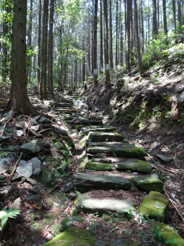 山道歩き