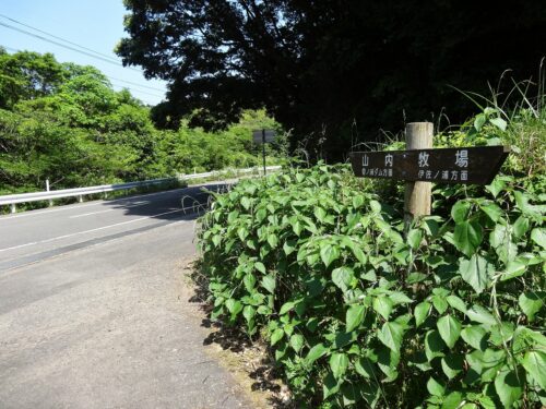 幹線農道に合流