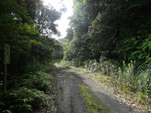 ダム周回道路