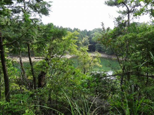 黒似田堤