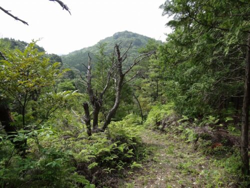 焼山416ｍ