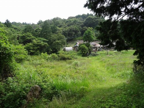 民家横の湿地